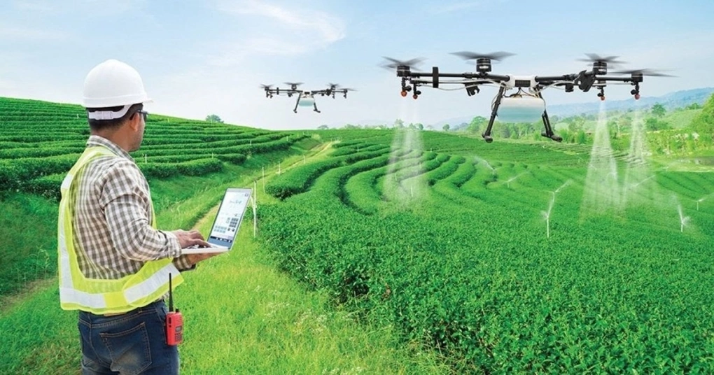 Nông nghiệp dẫn đầu mức lương trần CEO